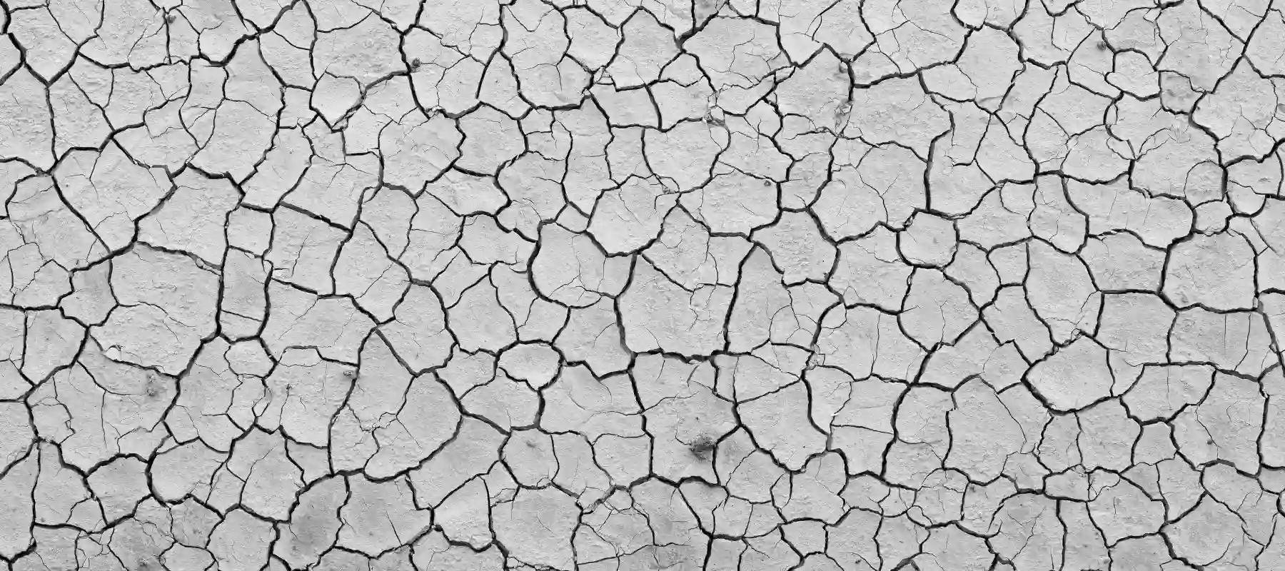 close-up of dry surface, resembling the effect of hard water on skim and hair