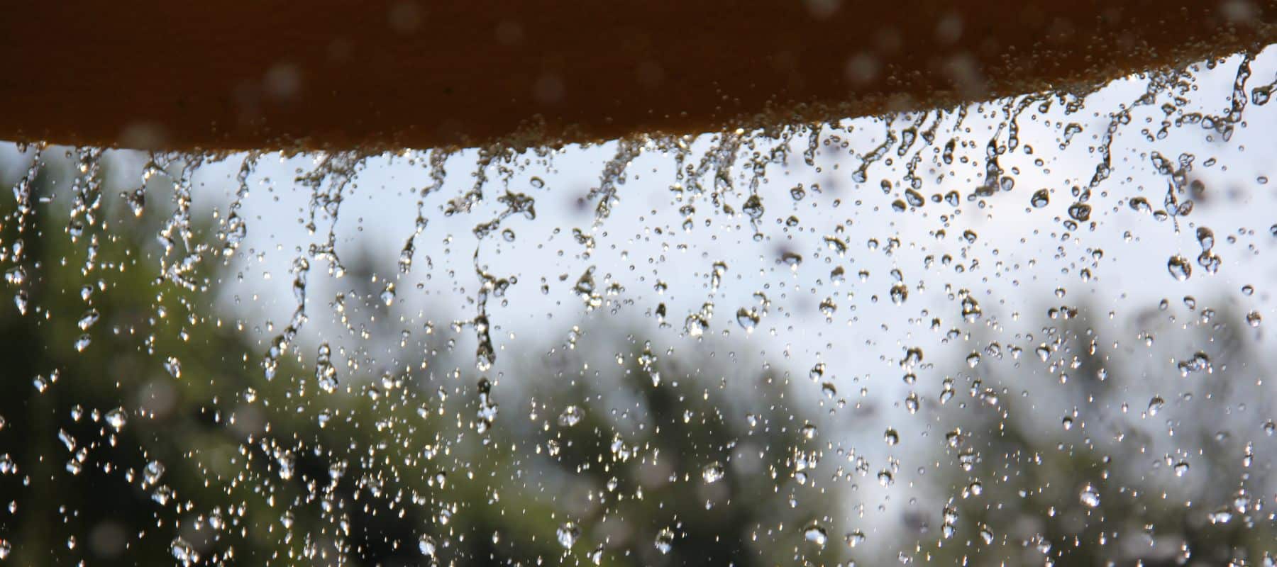 Close-up of raindrops falling from a surface with blurred trees in the background